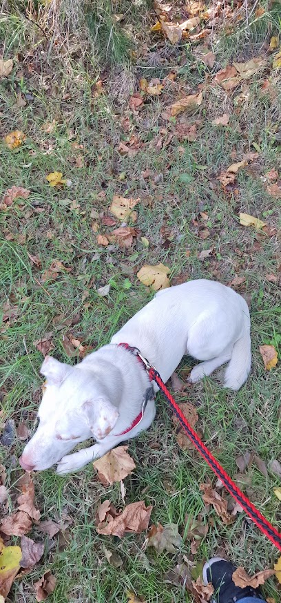 Area sgambamento cani