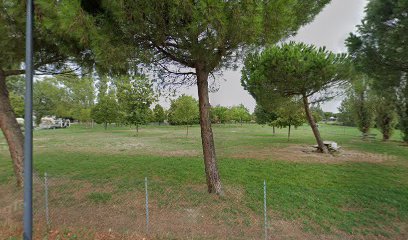 Area sgambamento cani