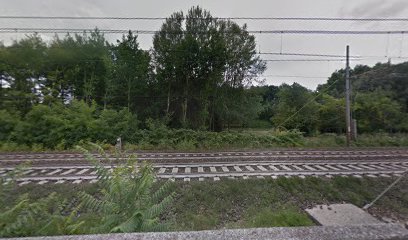 Area sgambamento cani