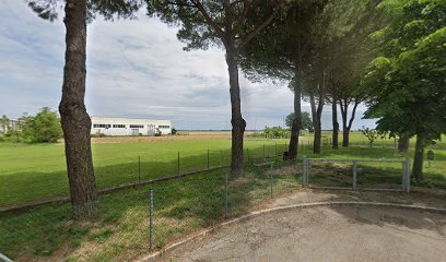 Area sgambamento cani