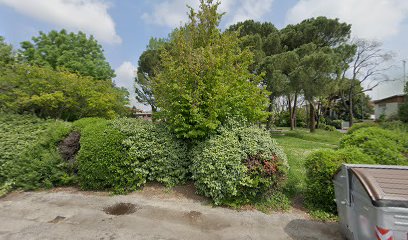 Area sgambamento cani