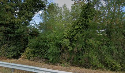 Area sgambamento cani