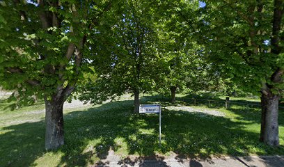 Area sgambamento cani