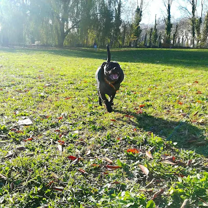 Area sgambamento cani