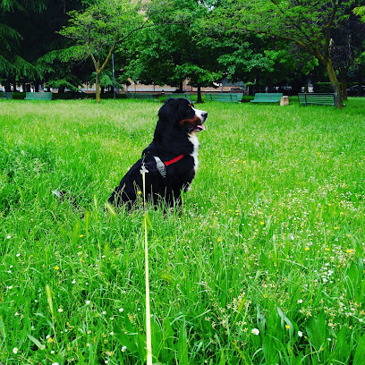 Area sgambamento cani