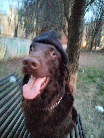 Area sgambamento cani