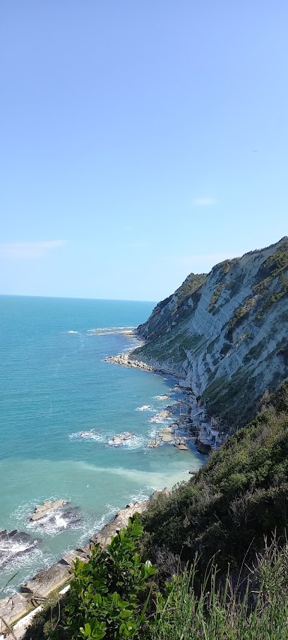 Area sgambamento cani