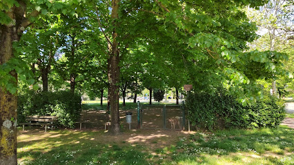 Area sgambamento cani