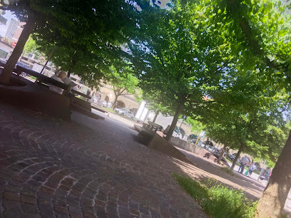 Area sgambamento cani