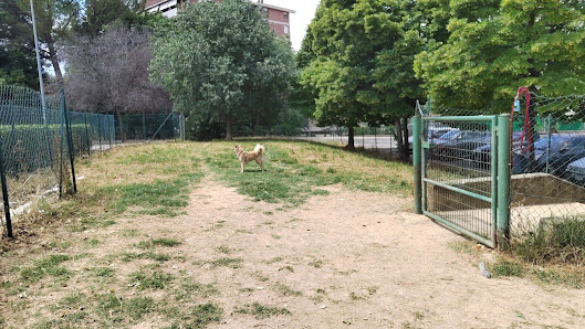 Area sgambatura cani