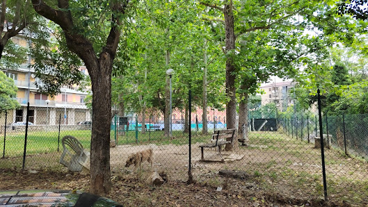 Area sgambatura cani