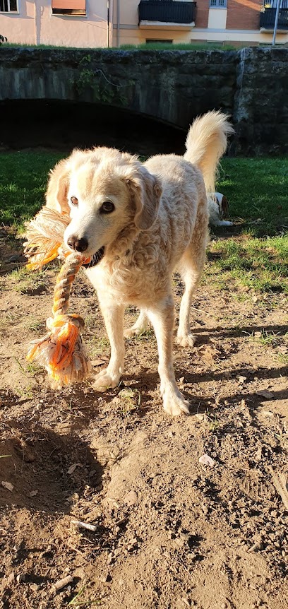 Area sgambatura cani