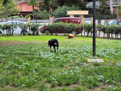 Area sgambettamento cani Monte Corvo