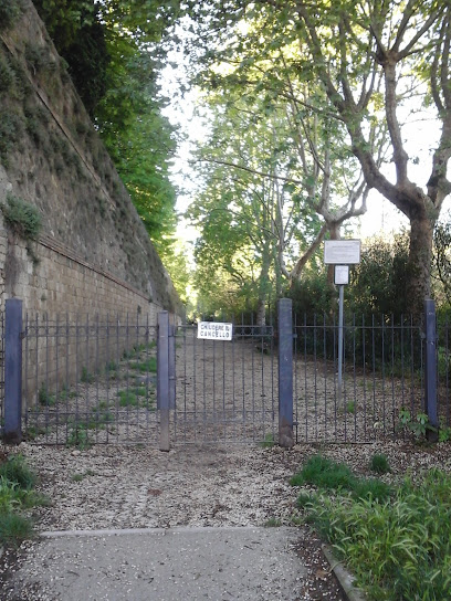 Area sgambettamento cani