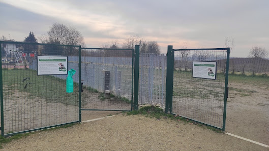 Area sgambettamento cani