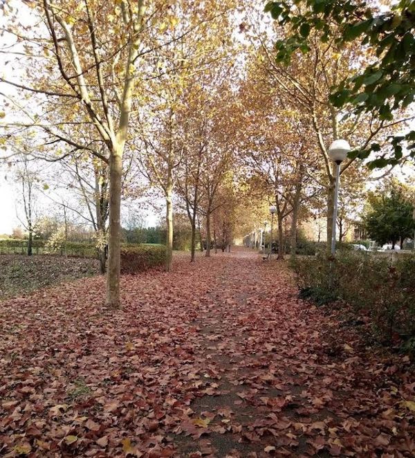 Area verde Via Caltagirone