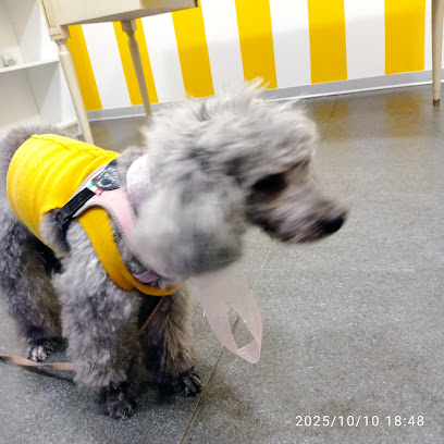 Arthemon Toelettatura & SPA