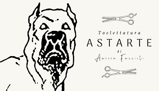 Astarte Toelettatura