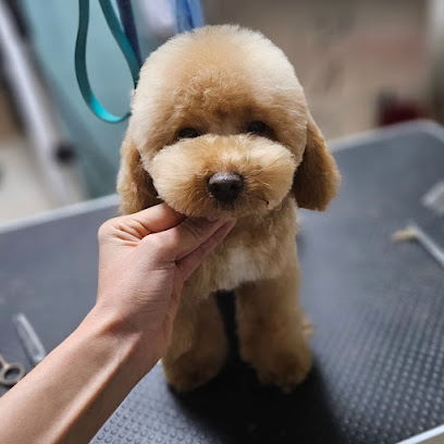 BAUtique Toelettatura di Veronica Recupero