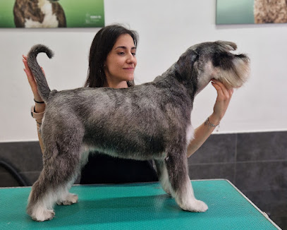 Balduina Toelettatura