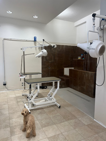 BarberDog Toelettatura Professionale