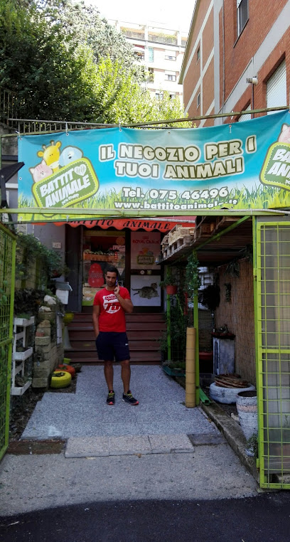 Battito Animale Pet Shop Perugia