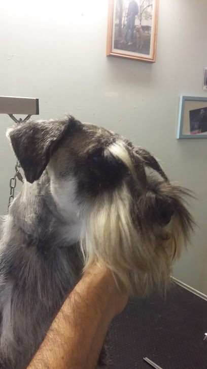 Bau Bau Center di Maurizio Cervino