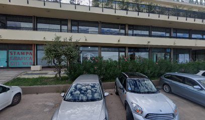 Bau House toelettatura Olbia