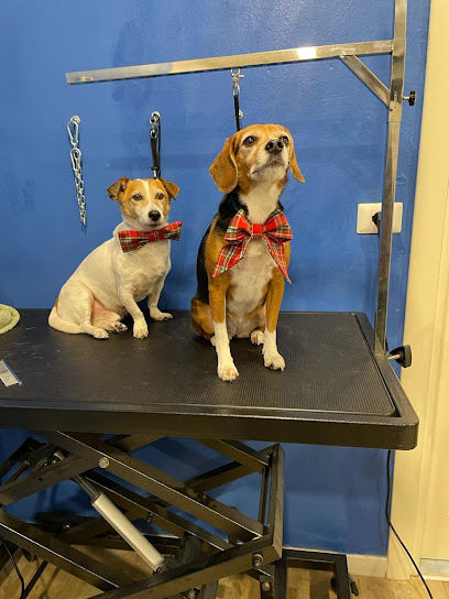 Baububbles - Toelettatura Professionale