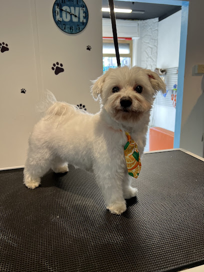 Bautiful Sesto San Giovanni