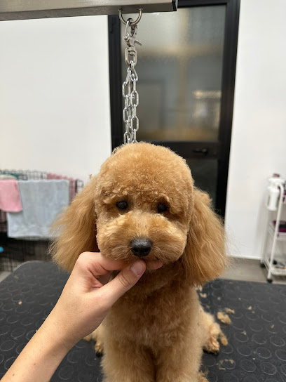 Bautiful Toelettatura