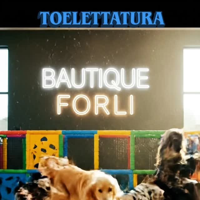 Bautique Forli-Toelettatura cani