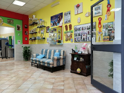 Beauty Dog Di Astefani Iuliana Daniela