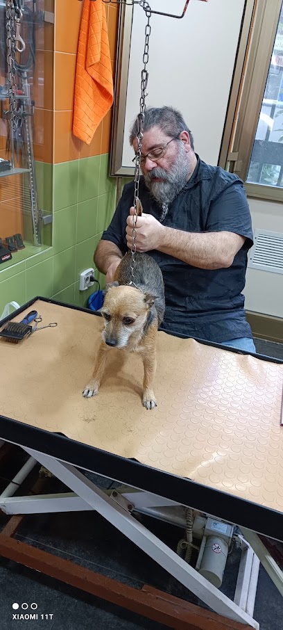 Beauty Dog Di Liotta Vittorio