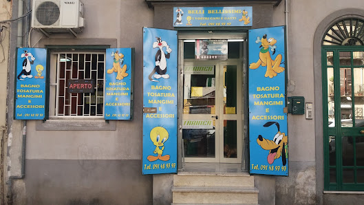 Belli Bellissimi I Vostri Cani E Gatti Di Sanzo M.