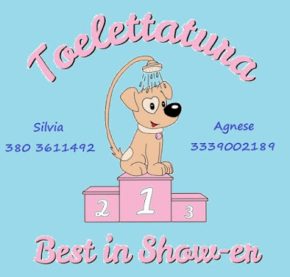 Best in Show-er toelettatura
