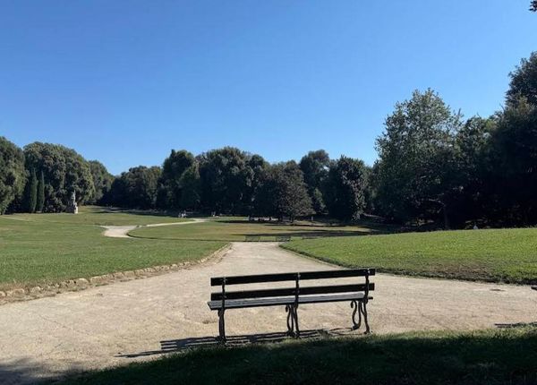 Bosco di Capodimonte