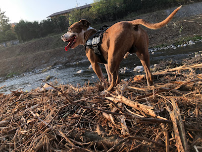 Camminata sull'argine