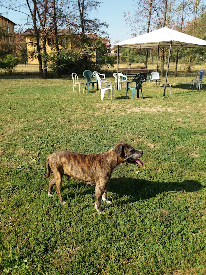 Campo Cani Torrenova