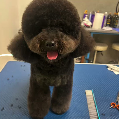 CarMa Toelettatura Matera