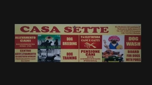 Casa Sette