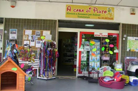 Casa di Pluto - Toeletta per Cani