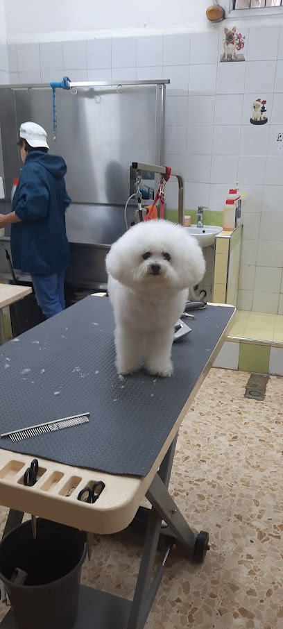 Centro Cinofilo Trentino