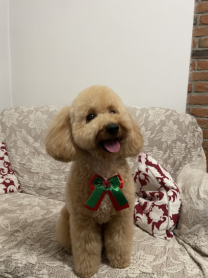 Che Chic Toelettatura