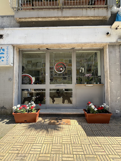 Ciro Coraggio - Grooming Academy