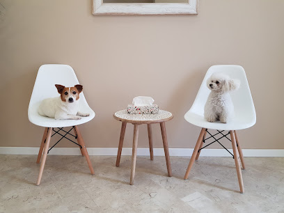 CityDog Padova Toelettatura