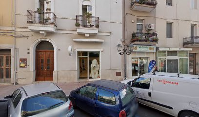 Code e codini - Toelattura