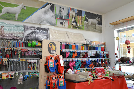 Cucciolo Mania Di Zampi Marco