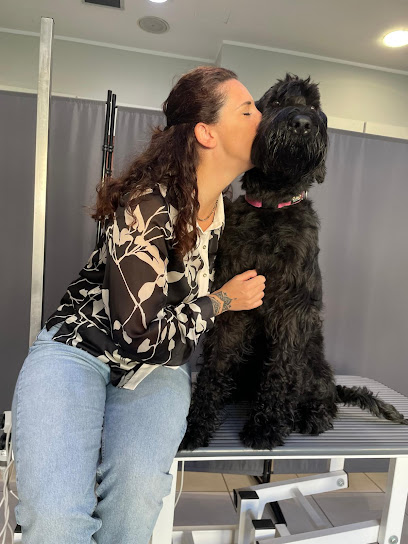 DOG INN ART - Toelettatura per cani e gatti - Educazione Cinofila - Scuola di toelettatura - Formazione Cinofila