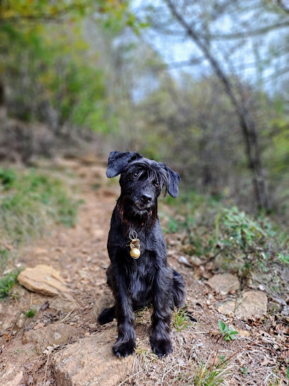 Da Beppe Di Guida Giuseppe